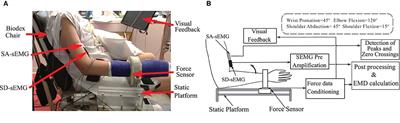 Characteristic Variation of Electromechanical Delay After the Botulinum Toxin Injection in Spastic Biceps Brachii Muscles